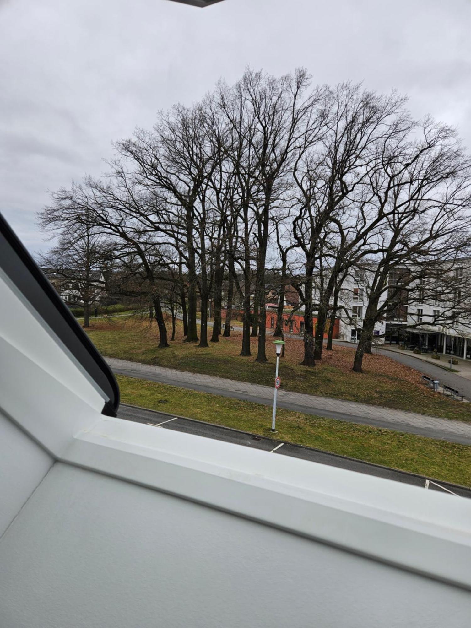 3 Zimmerwohnung Am Neuer Teich Wolfsburg Zewnętrze zdjęcie